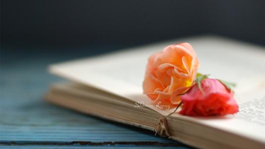 在职研究生历史学专硕