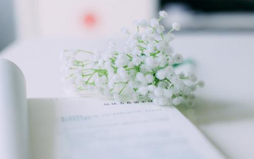 山东大学在职研究生怎么样