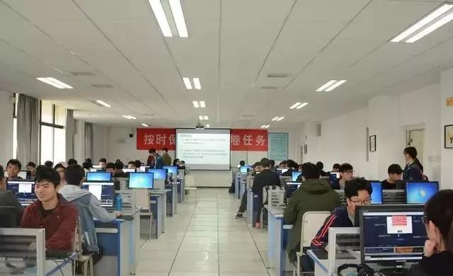 软件工程专业学生，怎么样迅速提高自己编程能力？