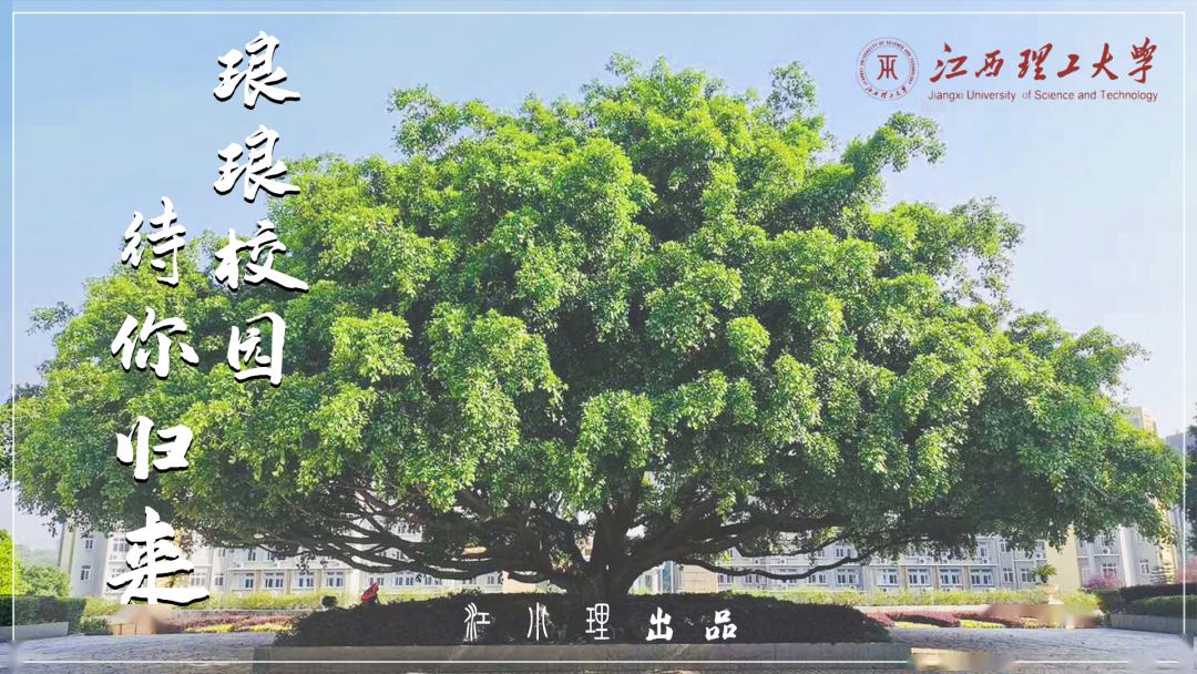 江西理工大学同等学力申硕
