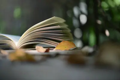 西北农林科技大学在职研究生证书企业能认可吗？